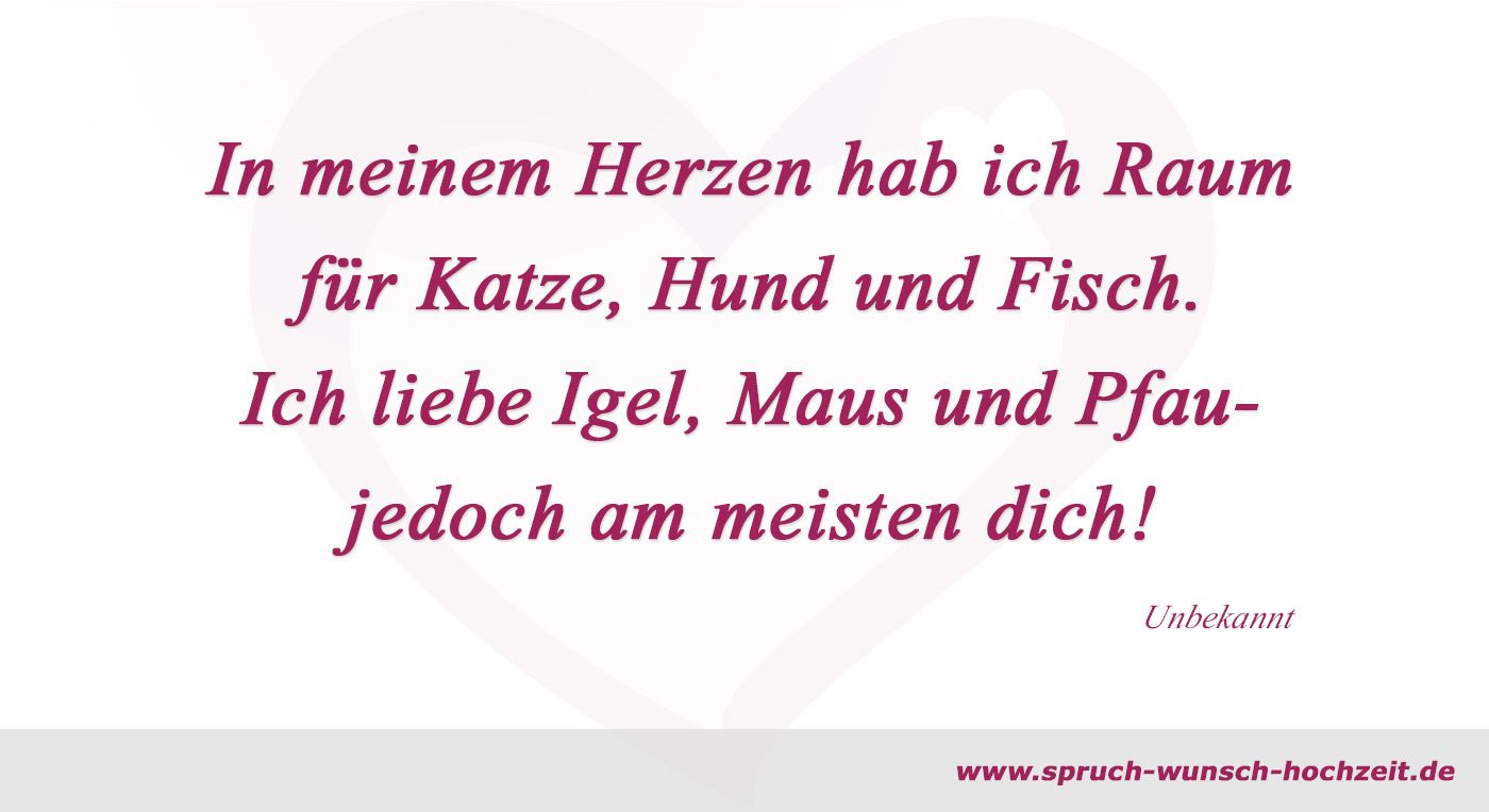 Spruch Liebe Herz Katze